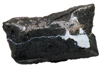 Natrolite gonnardite in basanite Blackhead Quarry